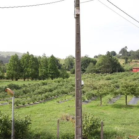 La Llosa Ii Holiday home *